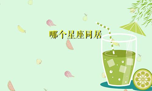 哪个星座同居