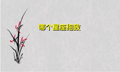 哪个星座细致