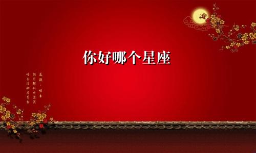 你好哪个星座