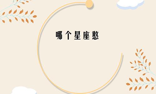 哪个星座憨