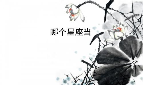 哪个星座当