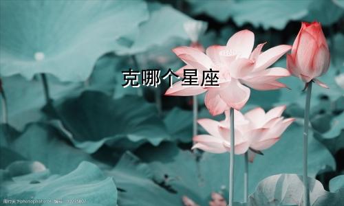 克哪个星座