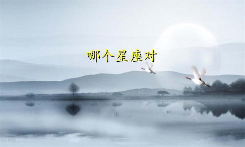 哪个星座对