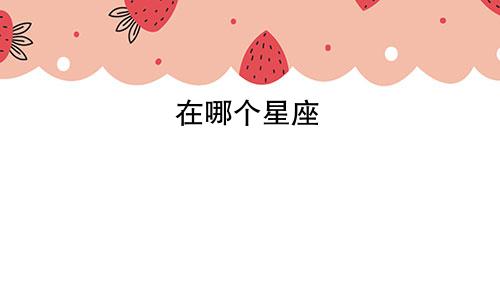 在哪个星座