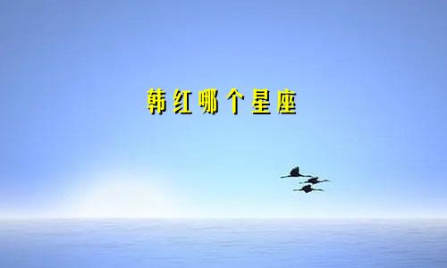 韩红哪个星座