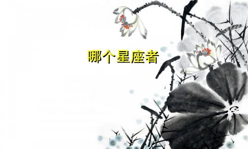 哪个星座者