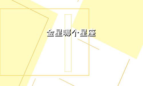 金星哪个星座