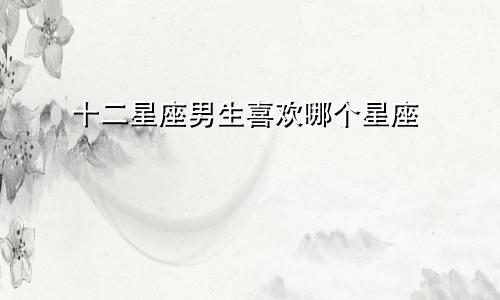 十二星座男生喜欢哪个星座