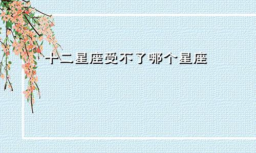 十二星座受不了哪个星座