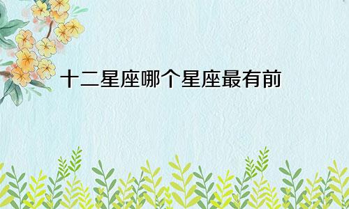 十二星座哪个星座最有前