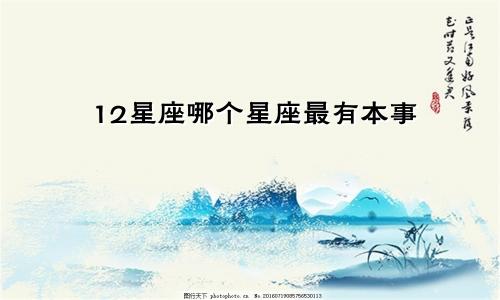 12星座哪个星座最有本事