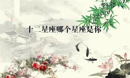 十二星座哪个星座是你