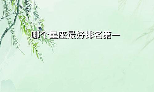 哪个星座最好排名第一