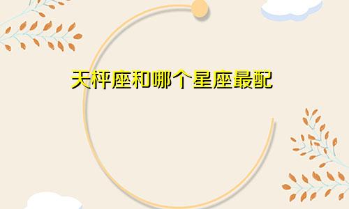 天枰座和哪个星座最配