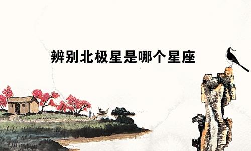 辨别北极星是哪个星座