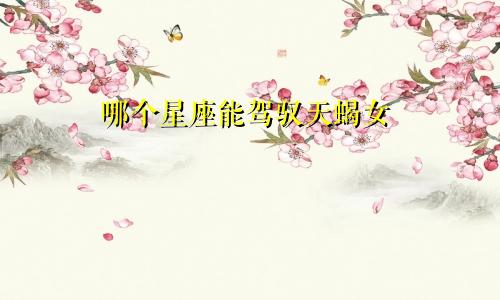 哪个星座能驾驭天蝎女