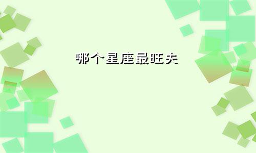 哪个星座最旺夫