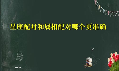 星座配对和属相配对哪个更准确