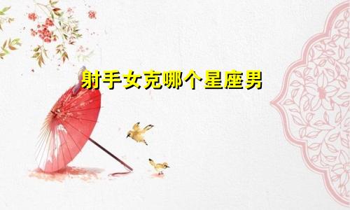 射手女克哪个星座男