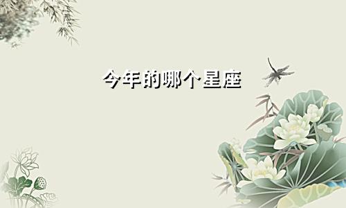 今年的哪个星座