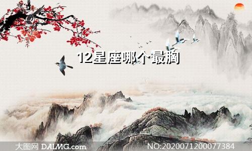 12星座哪个最胸