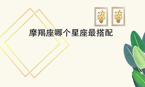 摩羯座哪个星座最搭配