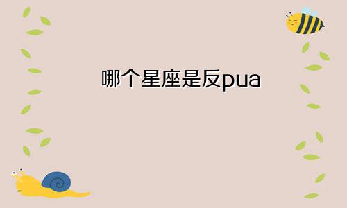 哪个星座是反pua