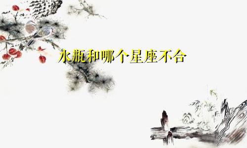 水瓶和哪个星座不合