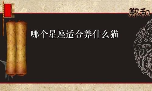 哪个星座适合养什么猫