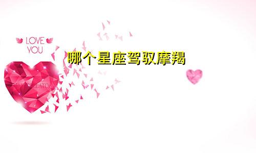 哪个星座驾驭摩羯