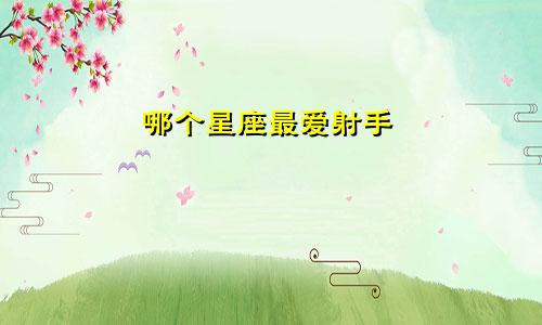哪个星座最爱射手