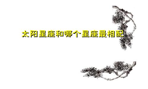 太阳星座和哪个星座最相配