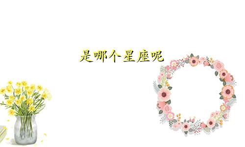 是哪个星座呢