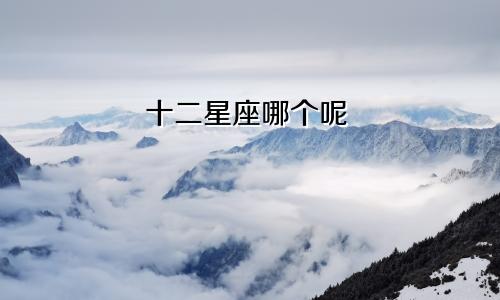 十二星座哪个呢