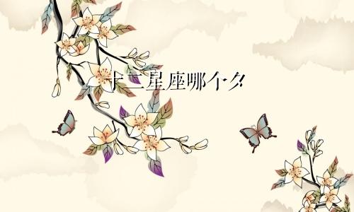 十二星座哪个夕