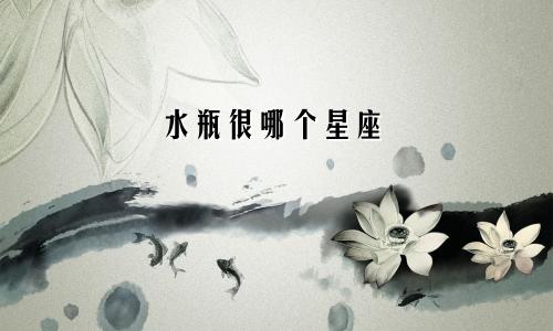 水瓶很哪个星座