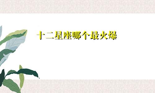 十二星座哪个最火爆