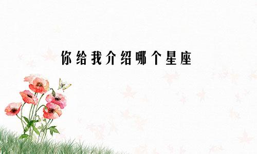 你给我介绍哪个星座