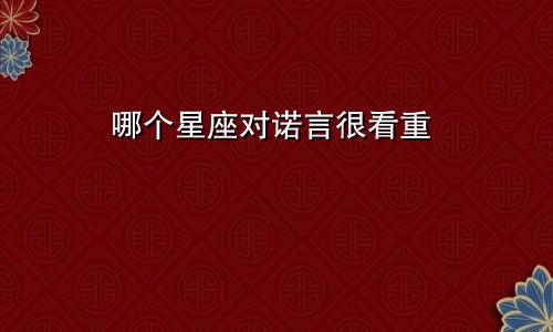 哪个星座对诺言很看重