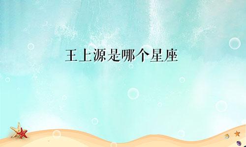 王上源是哪个星座