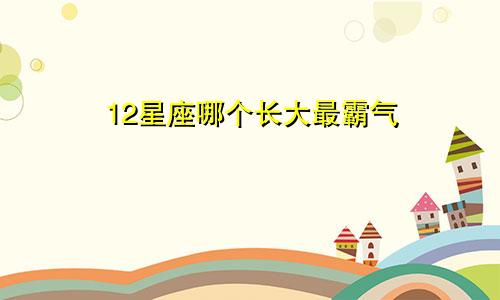 12星座哪个长大最霸气