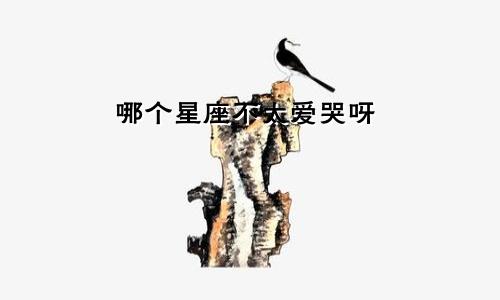 哪个星座不太爱哭呀