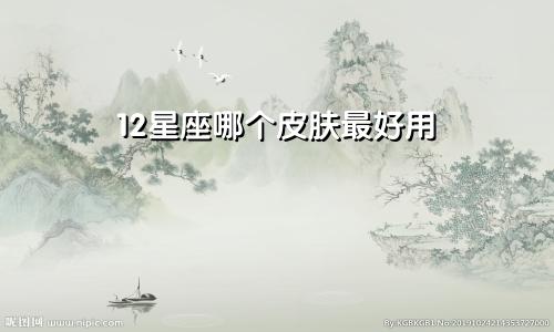 12星座哪个皮肤最好用