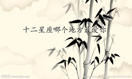 十二星座哪个地方最爱你