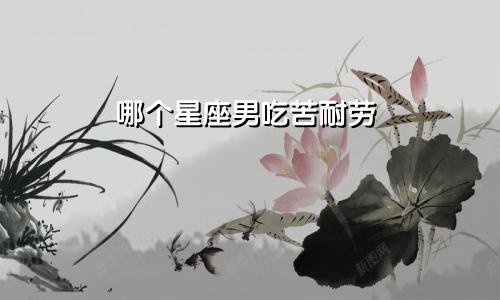 哪个星座男吃苦耐劳
