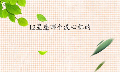 12星座哪个没心机的