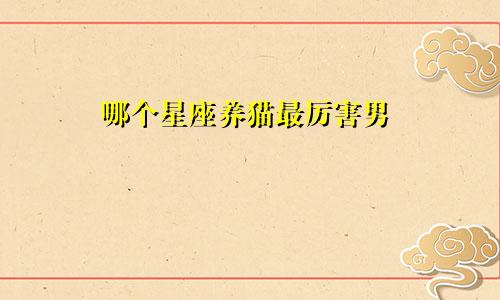 哪个星座养猫最厉害男