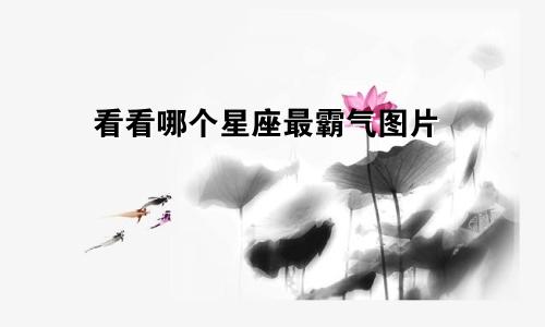 看看哪个星座最霸气图片