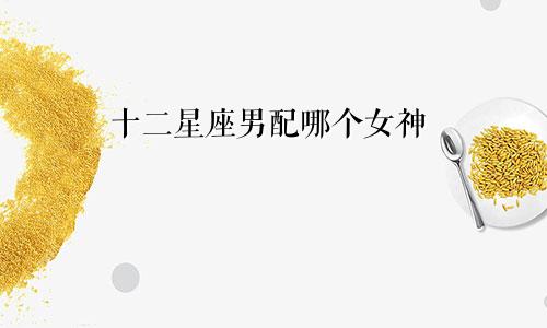 十二星座男配哪个女神