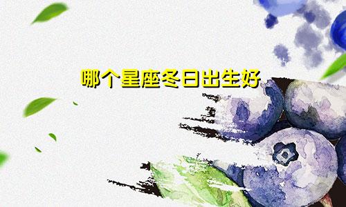 哪个星座冬日出生好